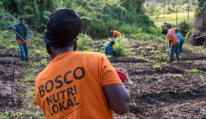 Les salariés du Bosco Nutri Lokal travaillent leurs parcelles