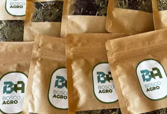 sachets de thé avec des herbes aromatiques et le logo en lettres majuscules BB