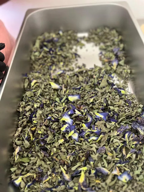 herbes médicinales déshydratés dans un bac